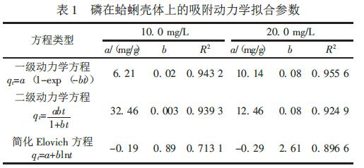 磷在蛤蜊殼體上的吸附動(dòng)力學(xué)擬合參數